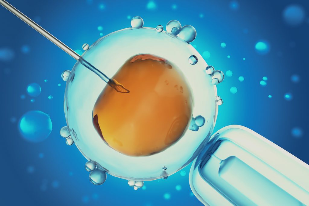 IVF Bali