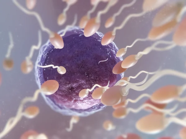 sperma-sehat-ivf-bali